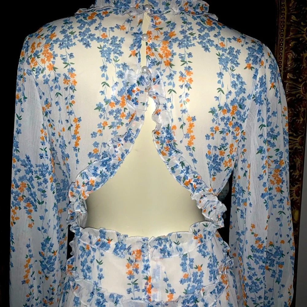 Gorgeous DITSY floral cutout back dress with the cutest details Small - Picture 5 of 10